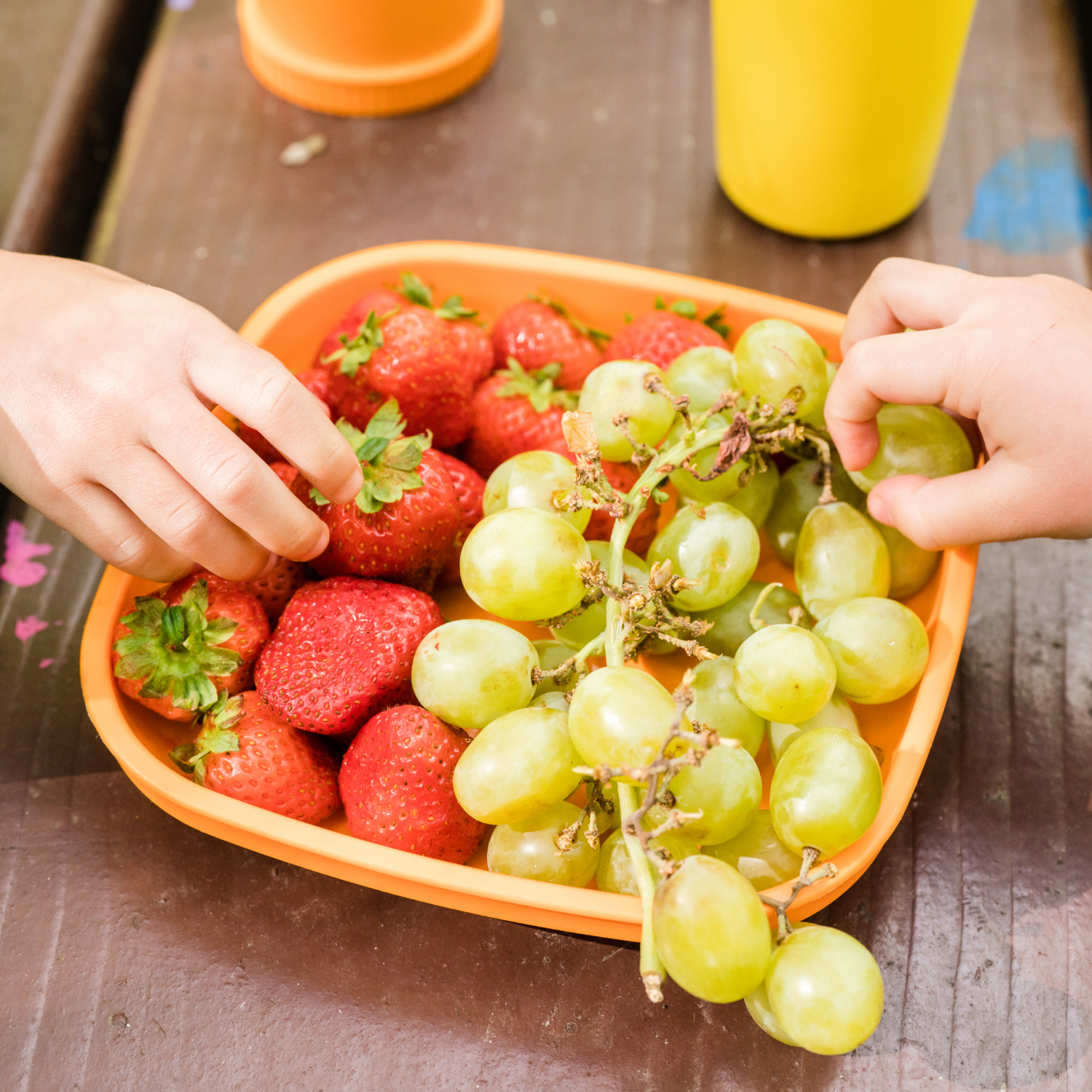 9” Plate, USA Made from Recycled Materials