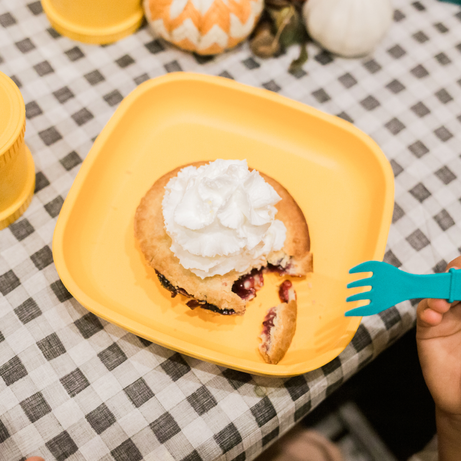 9” Plate, USA Made from Recycled Materials