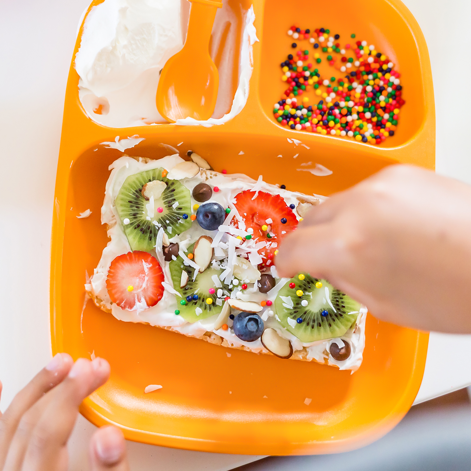 Divided Tray USA Made from Recycled Materials