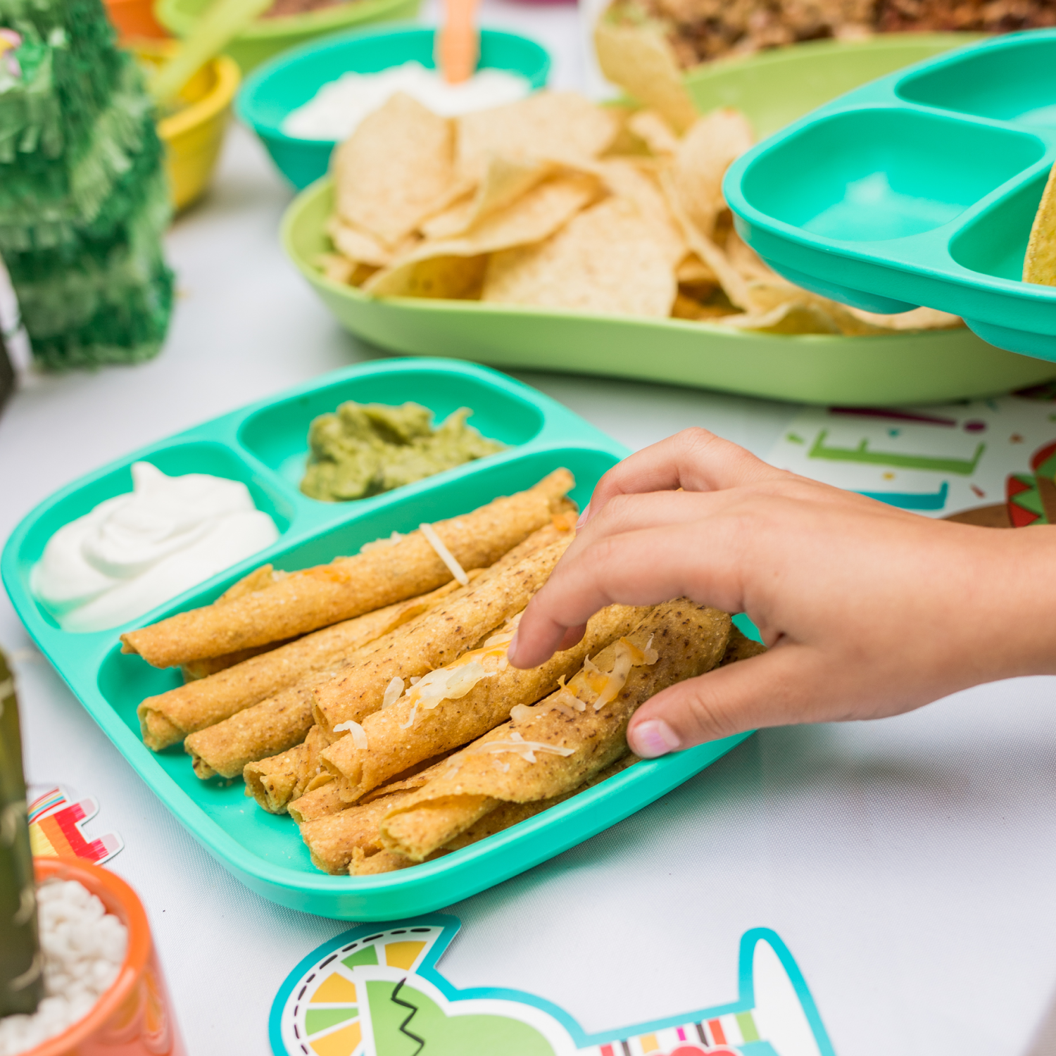 Divided Tray