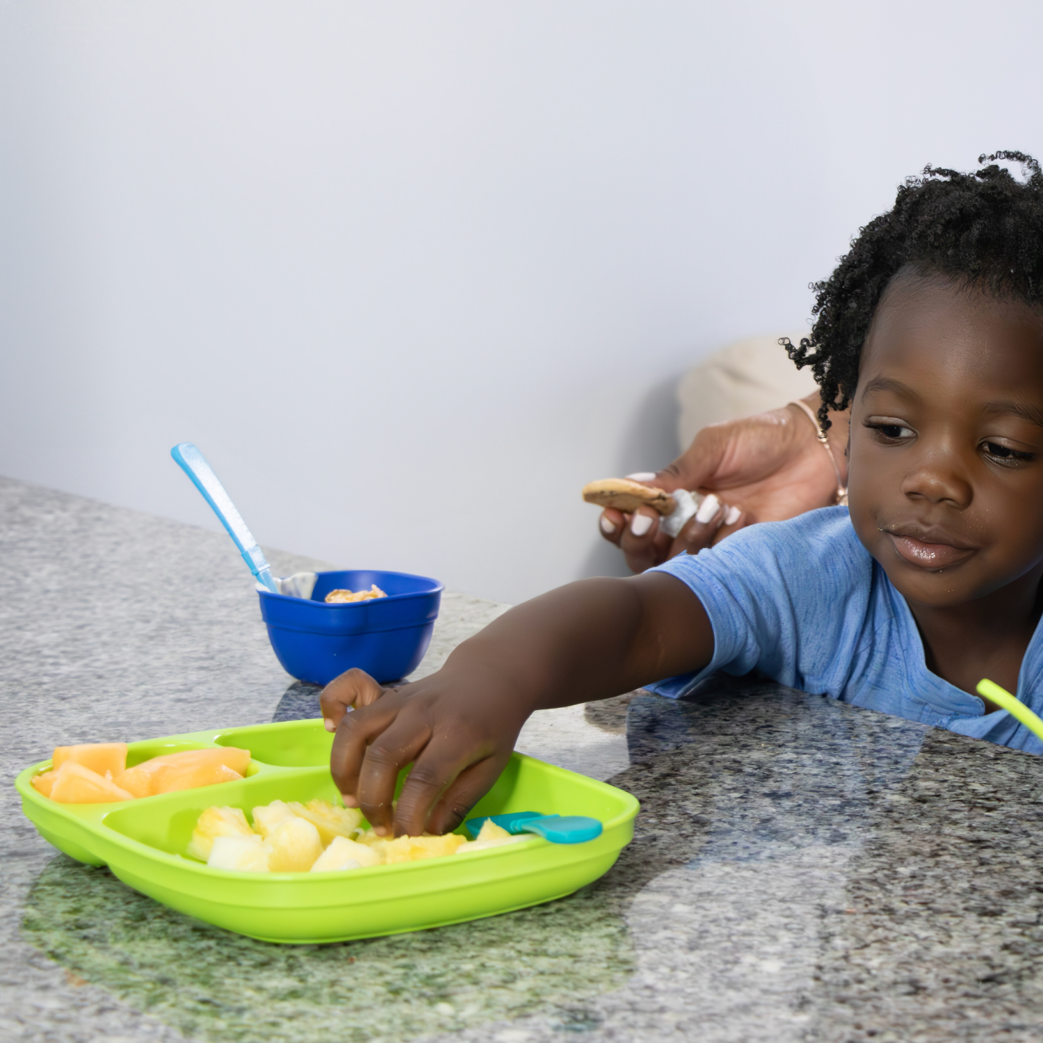 Divided Tray USA Made from Recycled Materials