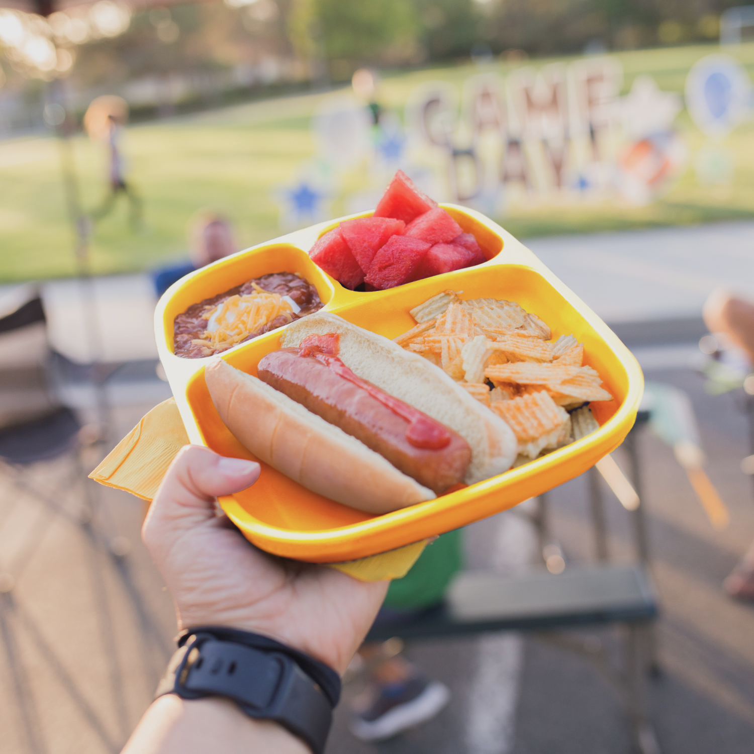 Divided Tray USA Made from Recycled Materials