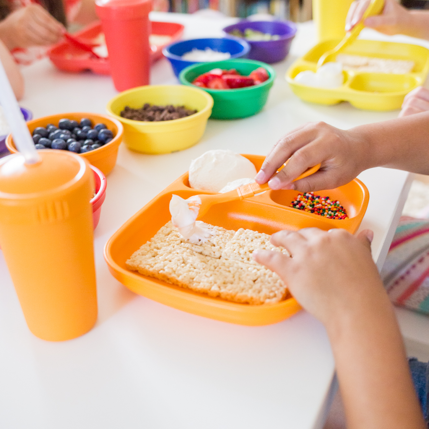 Divided Tray USA Made from Recycled Materials