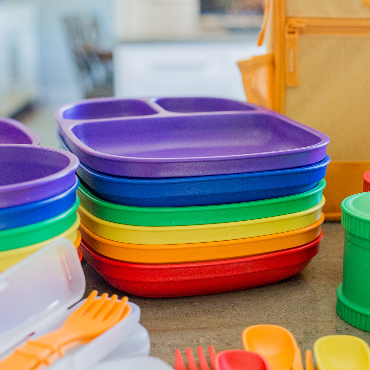 Divided Tray USA Made from Recycled Materials