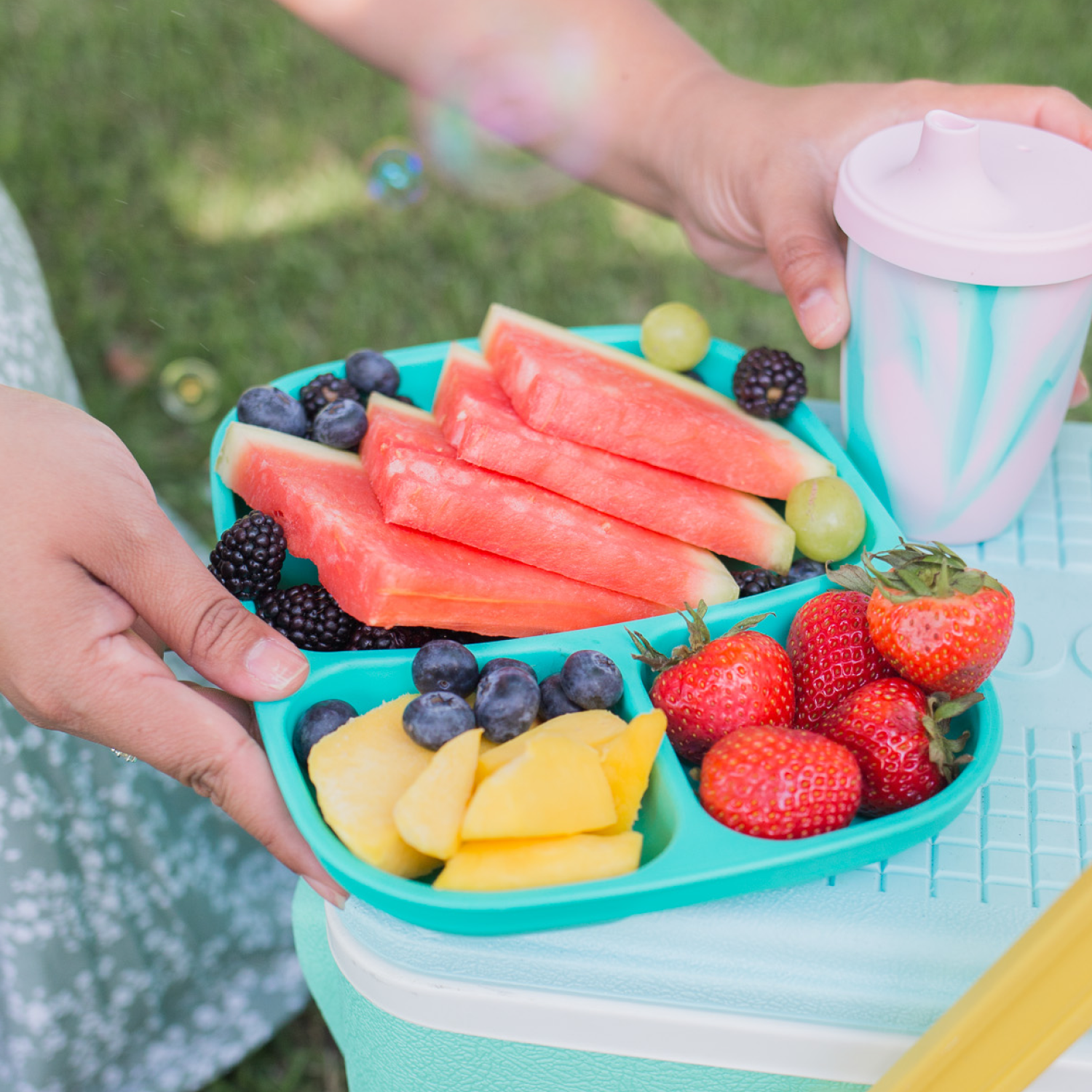 Divided Tray