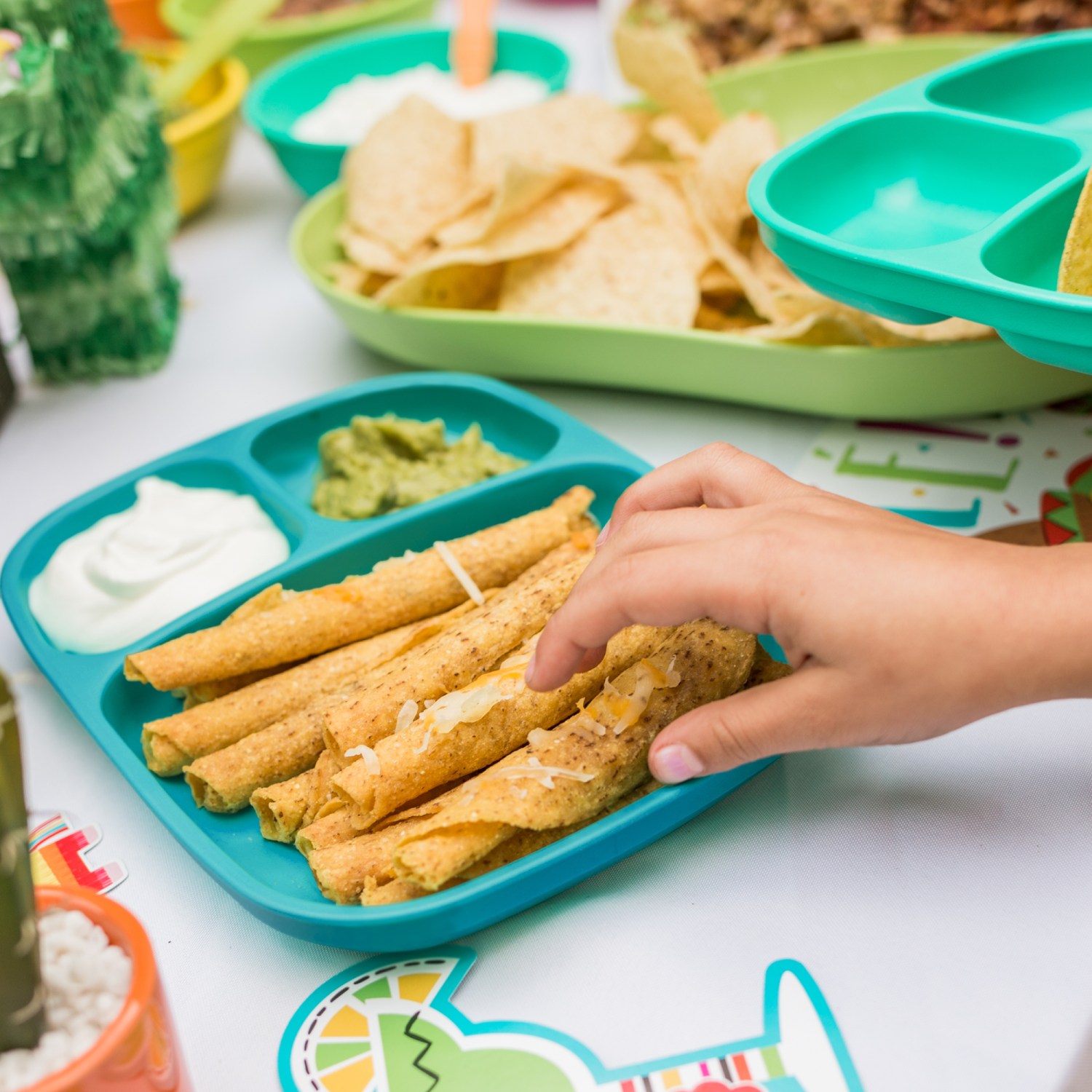 Divided Tray USA Made from Recycled Materials