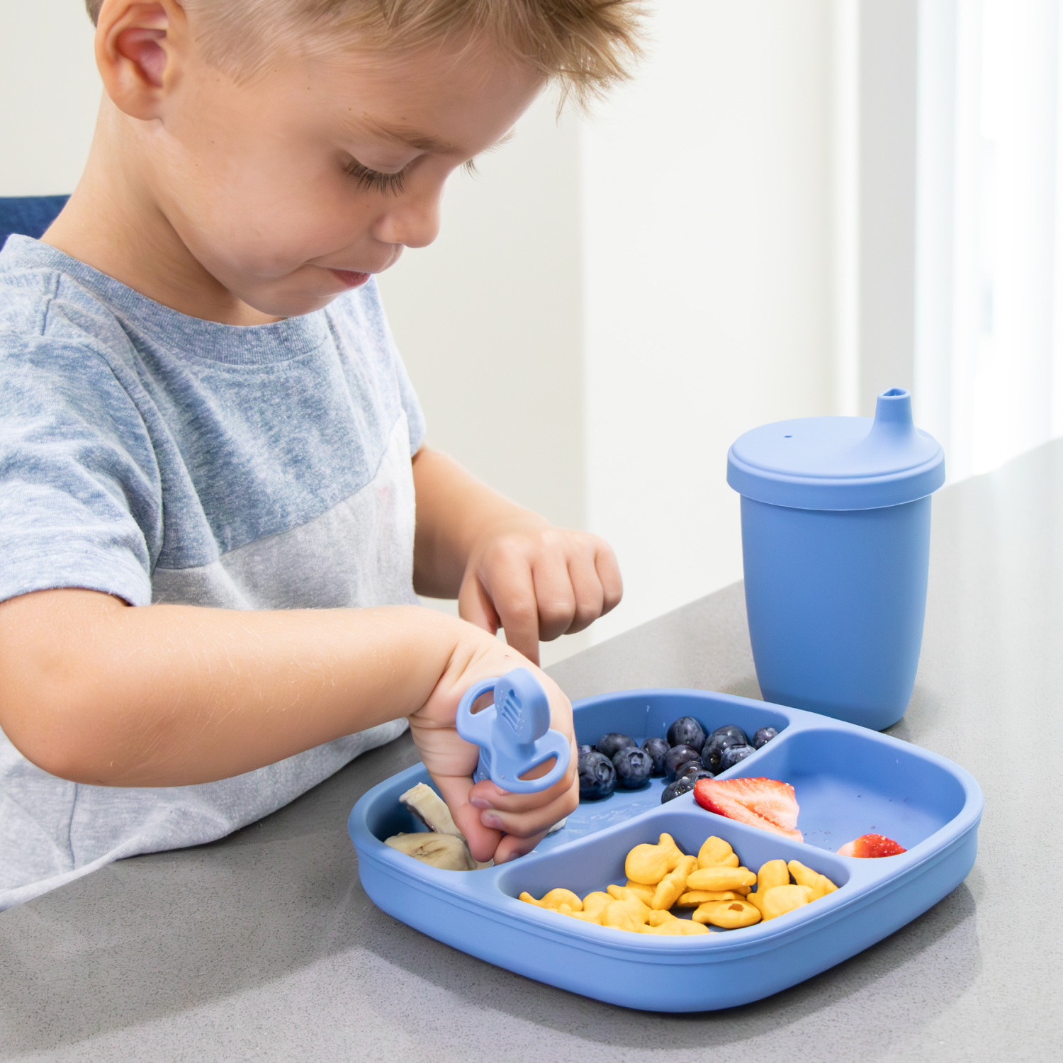 Silicone Suction Divided Plate