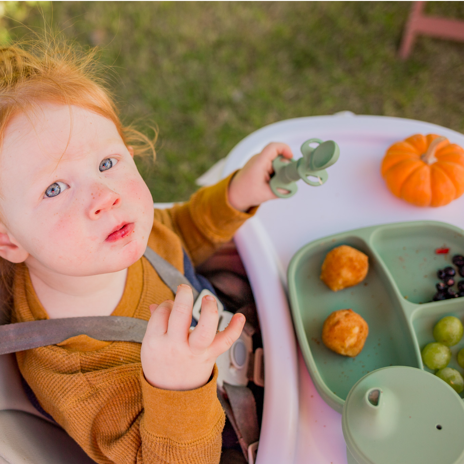 Silicone Suction Divided Plate